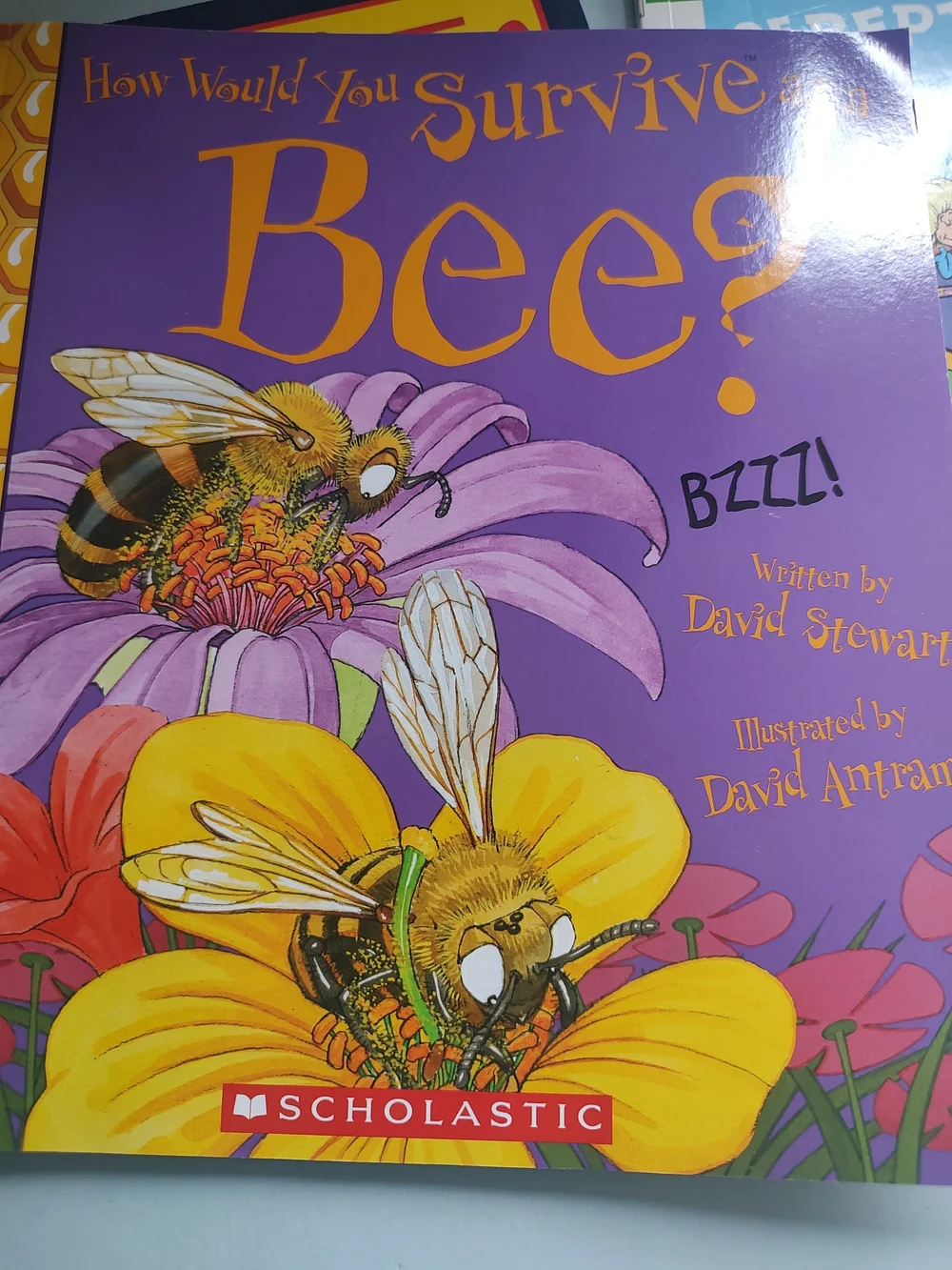 Scholastic Kids Book Pack - Bright Multicolor Picture Books